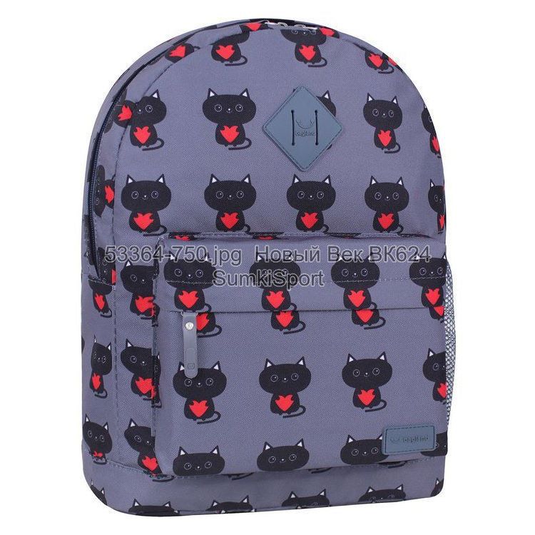 00533664 Рюкзак молодежный 17 л Рюкзак молодежный 17 л Bagland 533664 (750) — изображение 1