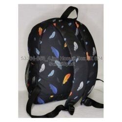 Рюкзак молодежный 17 л Bagland 533664 (853) — изображение 5