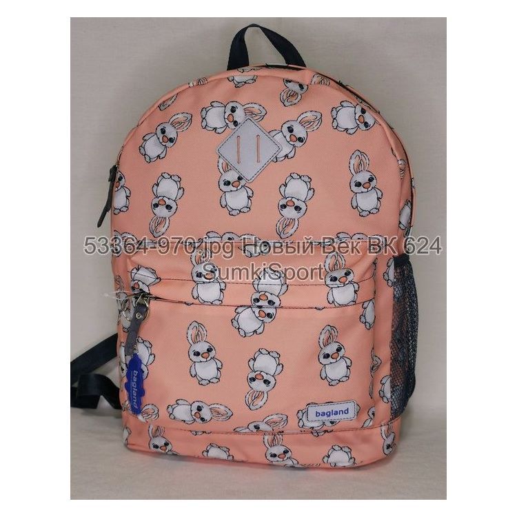 00533664 Рюкзак молодежный 17 л Рюкзак молодежный 17 л Bagland 533664 (970) — изображение 1