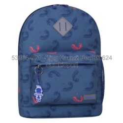 Рюкзак молодежный 17 л Bagland 533664 (971) — изображение 6