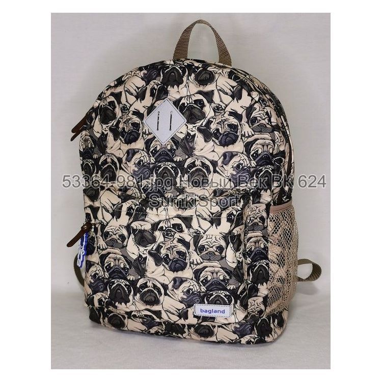 00533664 Рюкзак молодежный 17 л Рюкзак молодіжний 17 л Bagland 533664 (981) - Зображення 1