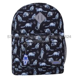 Рюкзак молодежный 17 л Bagland 533664 (982) — изображение 4