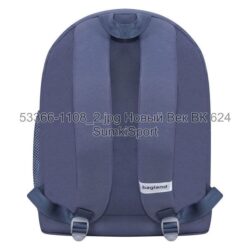 Рюкзак молодежный 17 л Bagland 533662 (1108) — изображение 3