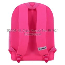 Рюкзак молодежный 17 л Bagland 533662 (15) — изображение 3