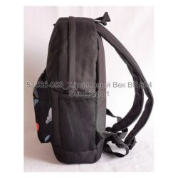 Рюкзак молодежный 17 л Bagland 533662 (853) — изображение 3