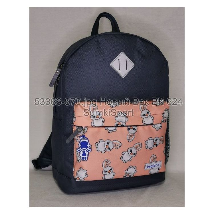 00533662 Рюкзак молодежный 17 л Рюкзак молодежный 17 л Bagland 533662 (970) — изображение 1